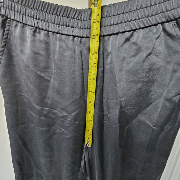 Banana Republic Dark Gray Silky Joggers - Picture 9 of 11